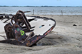 Wrack (3v9)_t.jpg